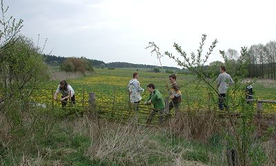 Ein Weidenflechtzaun