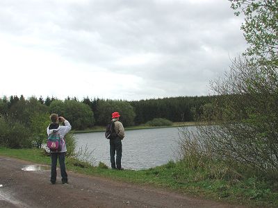 Der Reichloser Teich