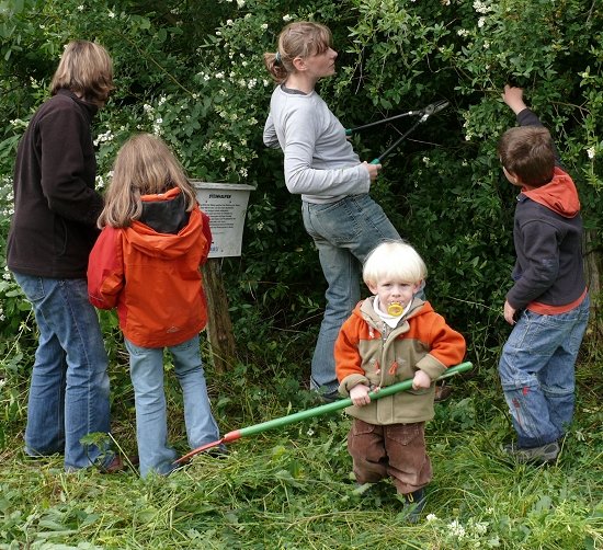 Freischneiden der Hecke am Eingang der Auwiesen