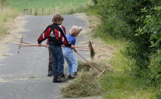 Zusammenrechen des Heus, das auf dem Wegrand lag