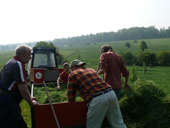 Anhänger mit Gras