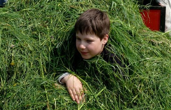 Versteck im Gras