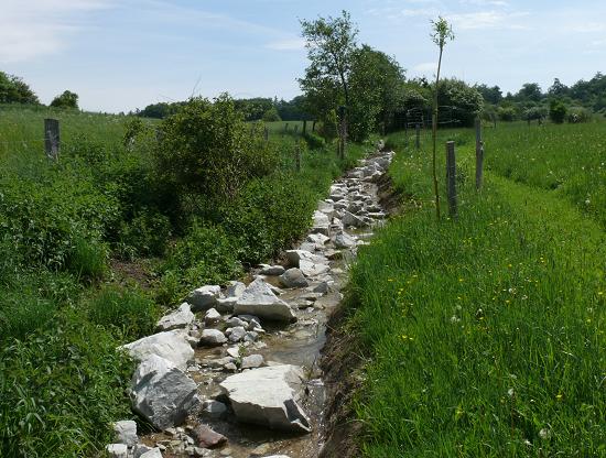 Bizzenbachrenaturierung Oberlauf (80 Meter)