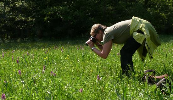 Gerrit Mai und die Orchideen